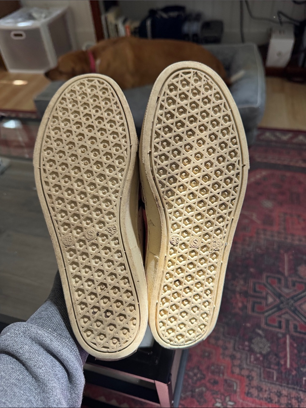 Pink Patterned Slip-On Canvas Sneakers - Picture 5 of 7